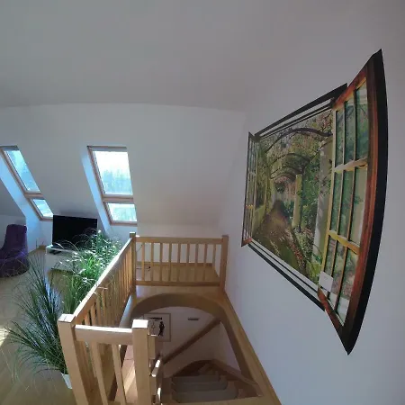 아파트 Wild Soca House No.5