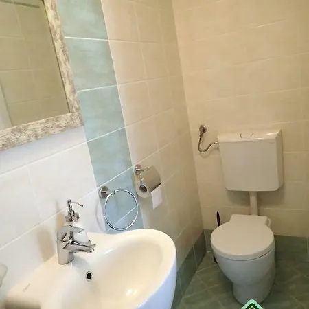 Wild Soca House No.5 *