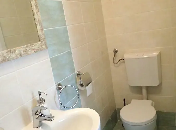 Wild Soca House No.5 *