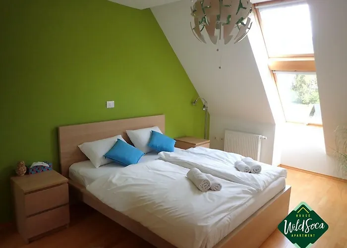 Wild Soca House No.5