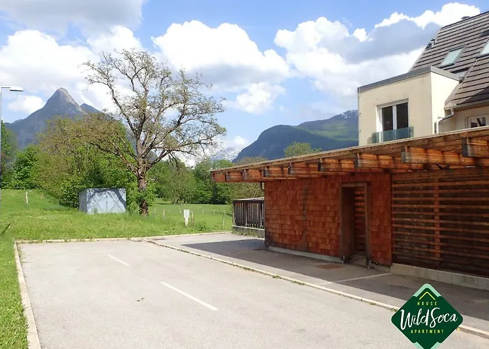 Wild Soca House No.5